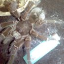 마들역(7호선) 이미지