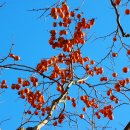 시골정취 이미지