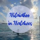 오션컴퍼스 이미지