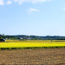 반구정길 이미지