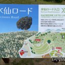 상순목장 이미지