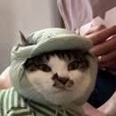 부자집 네이버블로그