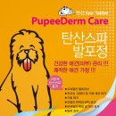 애완용품 할인마트 이미지