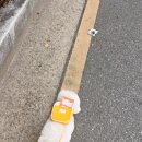 소풍가는멍냥이 - 김해시 김해대로2491번길 37-1 | 소풍가는멍냥이