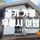 지호농원 | 경기도 가평 단체 여행 펜션 추천 : 지호 농원