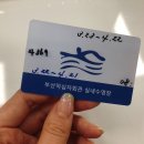 부산적십자회관수영장 이미지