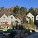 반스힐리조트 | 홍천 애견동반 가볼만한곳 반스힐 리조트 펜션 강아지 모임 후기