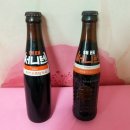 써니텐 네이버블로그