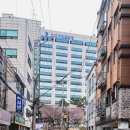 오장육부 약차
