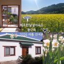 바닷가 돌담집:일상초대 | 대정읍 제주한달살이숙소 제주몽구옥 독채감성숙소 2026여름 잔여분 오픈