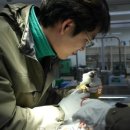 에버랜드 동물병원 이미지