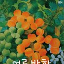 북문로2(북) 이미지