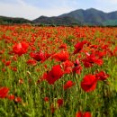 삼문풋살경기장 이미지