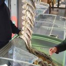 주정차094 이미지