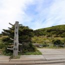 (주)늘푸른여행사