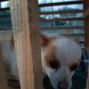 성천농장 이미지