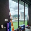 댓츠피티 이미지