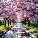 도촌 | 도촌 봄맞이길 벚꽃축제 2026 방문 후기: 놓치면 아쉬울 봄꽃 나들이