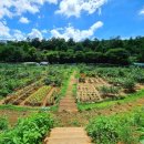 양천농장 이미지