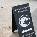 좋아서하는 동물병원 이미지