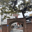 까사디차차 | 이천 카페 까사디차차 내돈내산 후기 분위기 좋은 감성카페