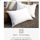 필호텔 | 리빙 중량업 블랙라인 호텔용 마이크로필에버 베개솜 지퍼형 솔직 후기 (매일 매일 호텔에서 자는 느낌...