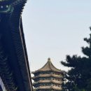 국제종합정비 | 북경대 붙는 학생은 뭐가 다를까: 국제전형 기준을 보면 답이 보인다 - 중국 유학, 다시 베이징 2편