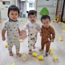 (주)튼튼 이미지