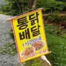 별 민박 이미지