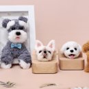 (주)모루 이미지