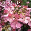 행복구대 이미지