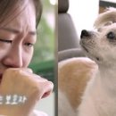 우노 이미지