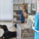 조이동물의료센터 이미지