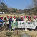 숲 걷기 명상 이미지