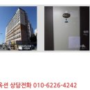 대선월드피아 이미지