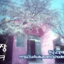 여수중앙여자중학교 이미지