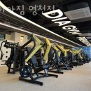 다이아짐 이미지