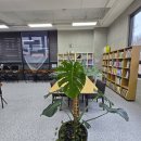 리프어학원 이미지