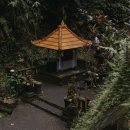 비밀정원 이미지