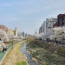 싱글하우스고시텔 앞 이미지