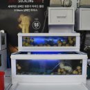 집나간왕새우바람난조개구이표선점 | 서귀포 술집으로 회식 다녀온 집나간왕새우바람난조개구이 신서귀포점 후기