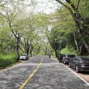 적현로-1 이미지