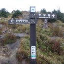 추성주차장 이미지