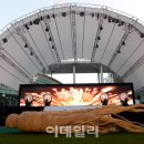 백제인삼