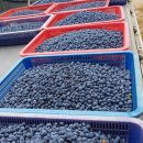 복덕농장 이미지