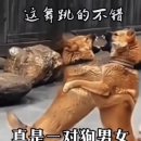 아이쿠 이미지