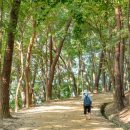 부소산성 삼충사 내 이미지