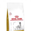 김해동물병원 이미지