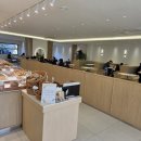 라이스베이커리&카페순쌀빵부암동 | [정관 카페] 티라이스 베이커리, 구 순쌀빵의 화려한 변신! 주차 정보 및 쌀빵 후기