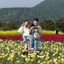 안월선 민박 코리아, 제주 이미지